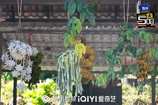 电影剧照